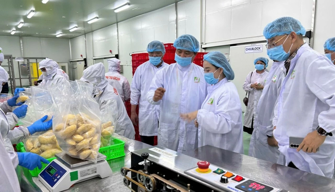 Doanh nghiệp phải tăng tốc thích ứng quy định mới của Trung Quốc để giữ thị trường xuất khẩu Doanh nghiệp phải tăng tốc thích ứng quy định mới của Trung Quốc để giữ thị trường xuất khẩu