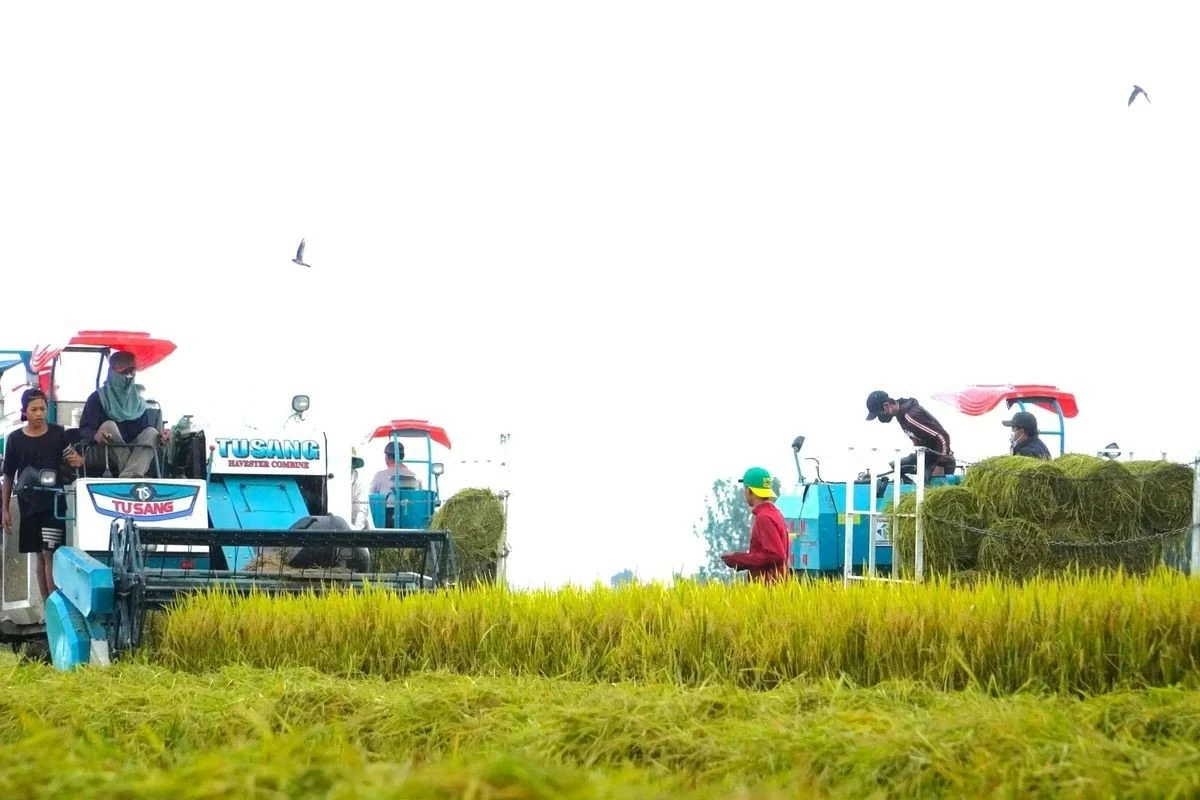 Cần Thơ tiên phong số hóa đánh giá lúa phát thải thấp, hướng tới xây dựng thương hiệu “Gạo Việt xanh”
