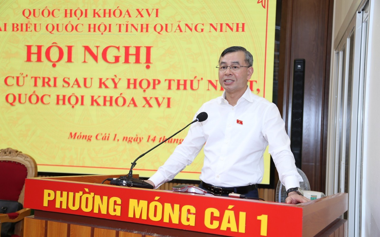 Xây dựng chính sách thu hút "đại bàng" cho các đặc khu