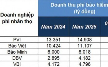 Doanh nghiệp bảo hiểm tìm động lực tăng trưởng mới