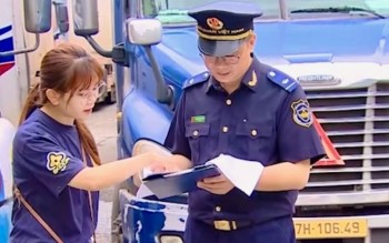 Hải quan lên tiếng về thủ tục khai báo thành phần hóa chất khi xuất khẩu
