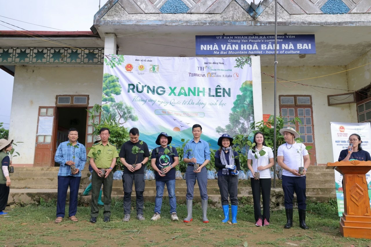 Chung tay trồng 6.000 cây bản địa phục hồi rừng tại Sơn La Chung tay trồng 6.000 cây bản địa phục hồi rừng tại Sơn La