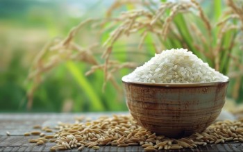 Ngày 18/5: Giá lúa gạo tại Đồng bằng sông Cửu Long sáng đầu tuần ít biến động