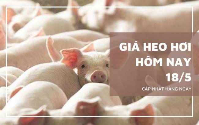 Ngày 178/5: Giá heo hơi tại khu vực miền Nam biến động