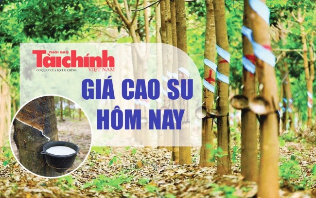 Ngày 18/5: Giá cao su thế giới biến động trái chiều