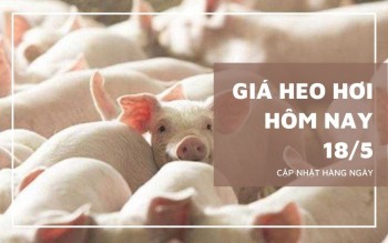 Ngày 178/5: Giá heo hơi tại khu vực miền Nam biến động