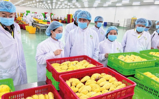 Sai một chi tiết nhỏ, doanh nghiệp có thể bị từ chối thông quan