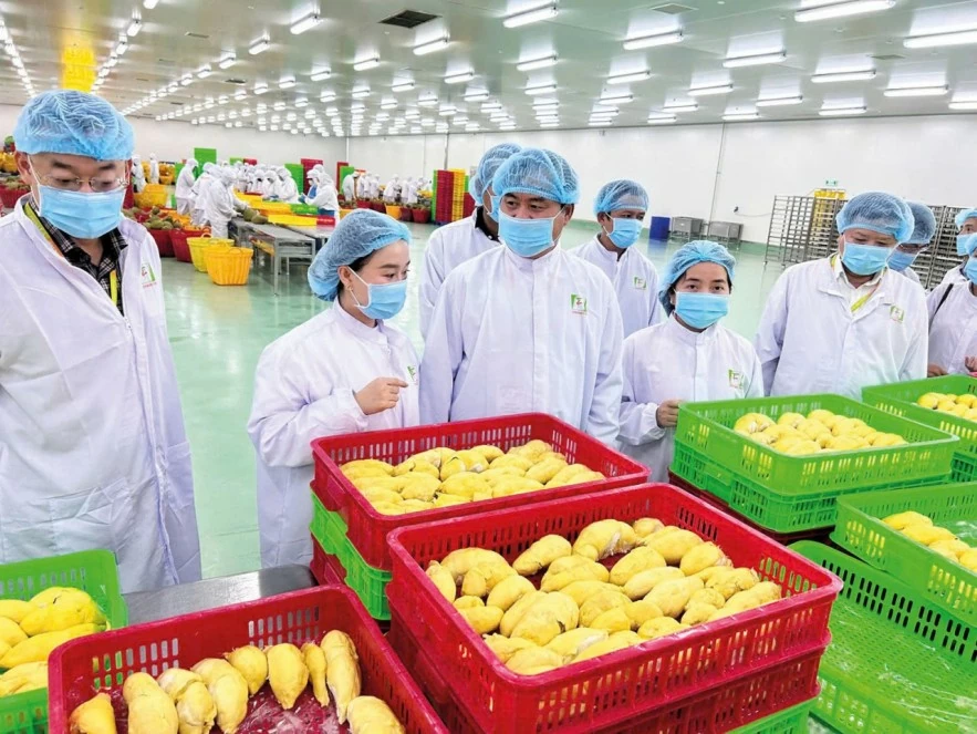 Sai một chi tiết nhỏ, doanh nghiệp có thể bị từ chối thông quan Sai một chi tiết nhỏ, doanh nghiệp có thể bị từ chối thông quan