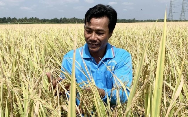 Mở rộng sản xuất phát thải thấp trên các cây trồng chủ lực