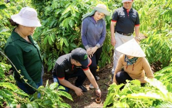 Phát triển chuỗi giá trị nông nghiệp bền vững, hướng tới bảo vệ môi trường