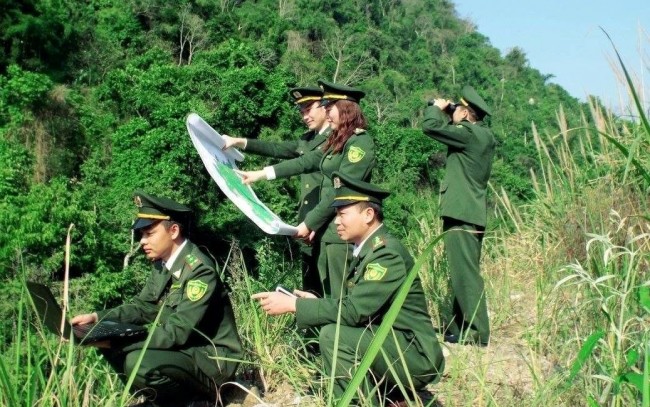 Bền bỉ giữ rừng, vun đắp màu xanh đất nước