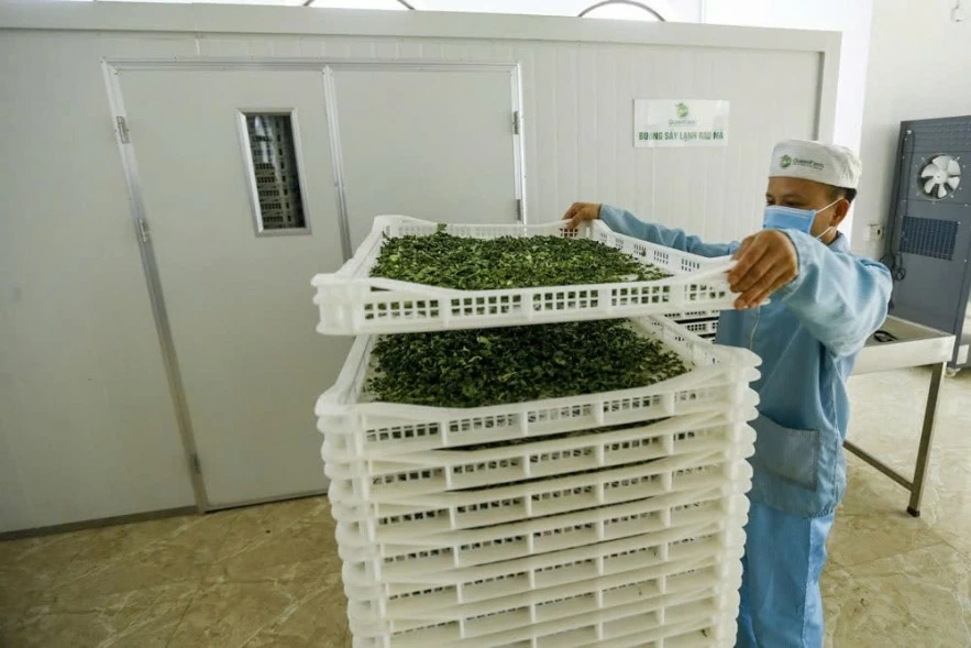 Giải “cơn khát vốn” của doanh nghiệp vừa và nhỏ qua tổ chức cho vay không nhận tiền gửi