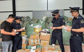 Hoả tốc triển khai nghị định mới về xử phạt vi phạm trong lĩnh vực hải quan
