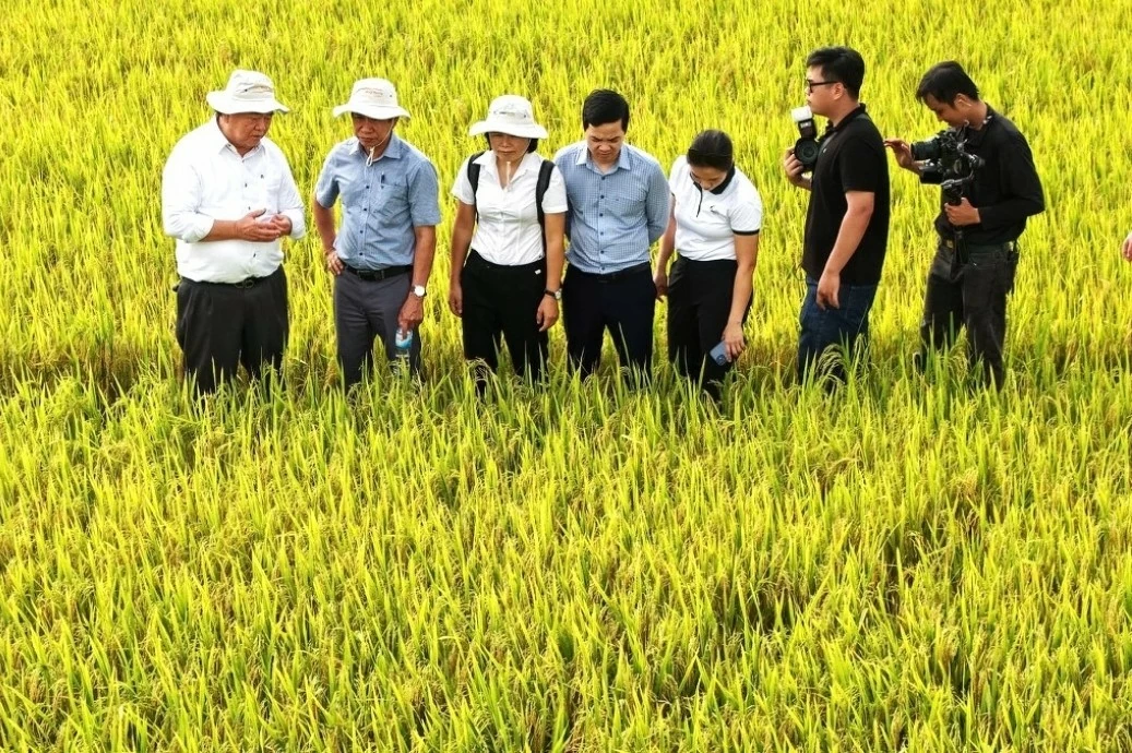 Thị trường tín chỉ carbon: Cơ hội mới cho nông nghiệp phát thải thấp Thị trường tín chỉ carbon: Cơ hội mới cho nông nghiệp phát thải thấp
