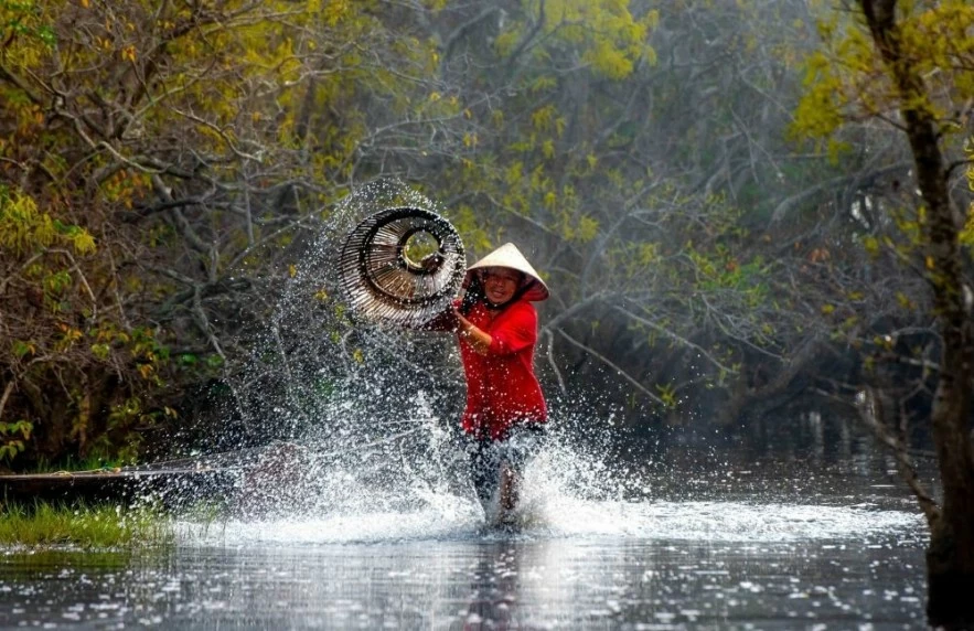 Hệ đầm phá Tam Giang - Cầu Hai đang sở hữu nguồn tài nguyên sinh học đa dạng và thủy sinh phong phú