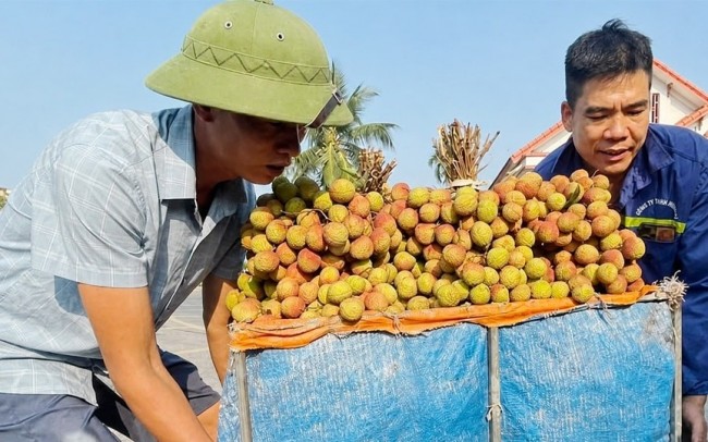 Bộ Công thương đề nghị tạo “luồng xanh” cho vải thiều xuất khẩu