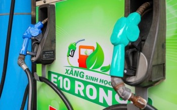 Khánh Hòa lan tỏa thói quen dùng nhiên liệu sạch, gìn giữ môi trường tự nhiên