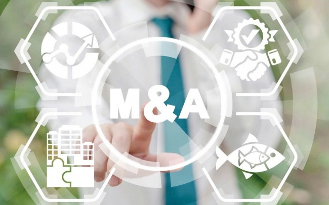 Doanh nghiệp niêm yết tăng tốc M&A cùng ngành