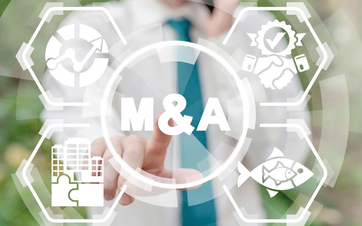 Doanh nghiệp niêm yết tăng tốc M&A cùng ngành