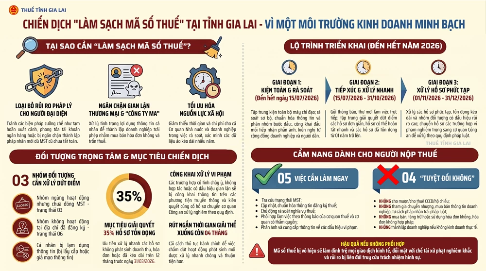 infographic thông tin chiến dịch làm sạch mã số thuế infographic thông tin chiến dịch làm sạch mã số thuế