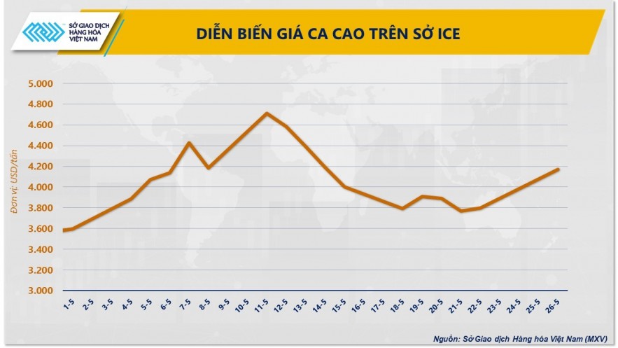 Giá ca cao bật tăng mạnh do những lo ngại về nguồn cung toàn cầu Giá ca cao bật tăng mạnh do những lo ngại về nguồn cung toàn cầu