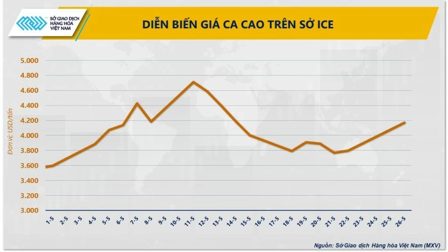 Giá ca cao bật tăng mạnh do những lo ngại về nguồn cung toàn cầu Giá ca cao bật tăng mạnh do những lo ngại về nguồn cung toàn cầu