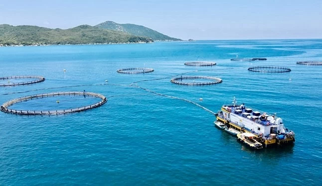 Hướng tới nông thôn mới xanh và số hóa, Khánh Hòa đẩy mạnh kinh tế tuần hoàn