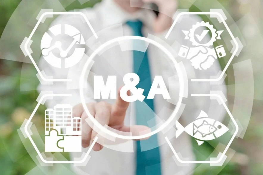 Doanh nghiệp niêm yết tăng tốc M&A cùng ngành