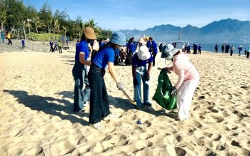 Tuổi trẻ Đà Nẵng chung tay vì môi trường xanh và phát triển bền vững