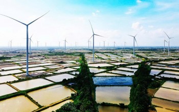 Tiềm năng phát triển điện gió ở Việt Nam rất lớn