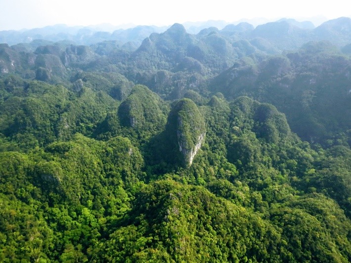 Hoàn thiện bản đồ rừng 2020 để giữ cửa EU Hoàn thiện bản đồ rừng 2020 để giữ cửa EU