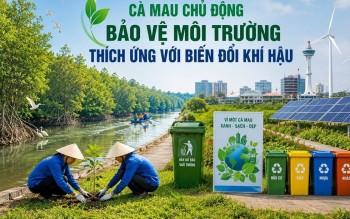 Cà Mau tích cực bảo vệ môi trường, nâng cao năng lực thích ứng biến đổi khí hậu