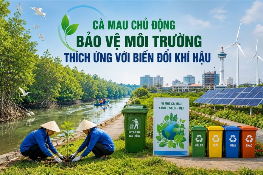 Cà Mau tích cực bảo vệ môi trường, nâng cao năng lực thích ứng biến đổi khí hậu Cà Mau đồng bộ giải pháp bảo vệ môi trường, nâng cao năng lực thích ứng biến đổi khí hậu