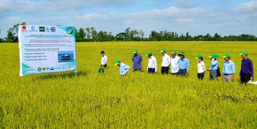 Đồng Tháp tăng tốc giảm phát thải, đón cơ hội từ thị trường carbon và nông nghiệp xanh
