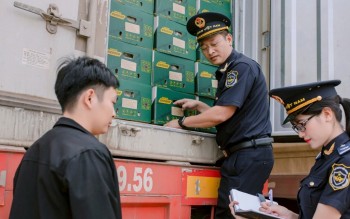 Kim ngạch xuất nhập khẩu qua Hải quan khu vực XIV vượt 2,7 tỷ USD sau gần 5 tháng