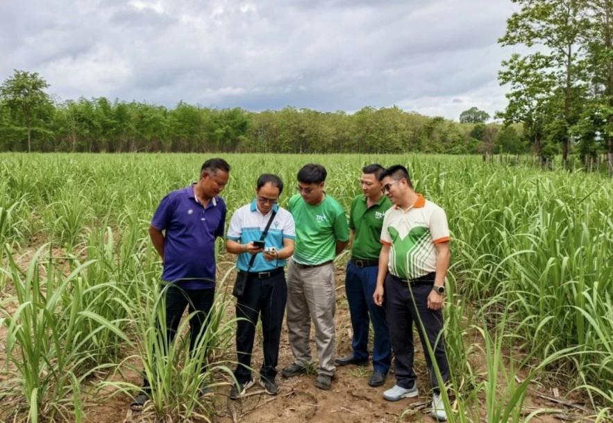 Bứt phá từ nền tảng sản xuất: PVFCCo lập Bứt phá từ nền tảng sản xuất: PVFCCo lập
