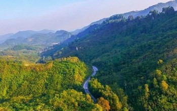 Nghệ An đặt tăng trưởng xanh ở vị trí trung tâm của chiến lược phát triển
