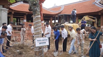 Trồng cây xanh, vun đắp những giá trị hòa nhập bền vững