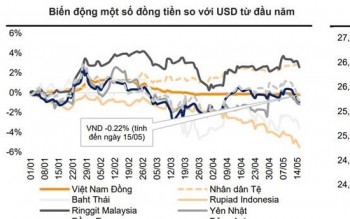 Tỷ giá chịu sức ép ngắn hạn khi nhập siêu tăng, USD phục hồi