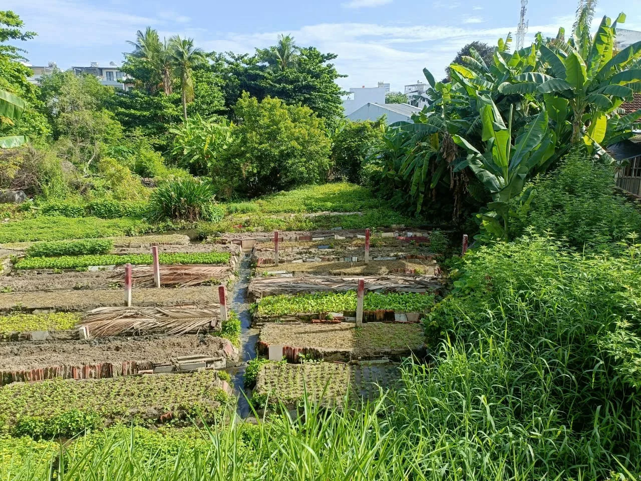 Quy định mới trong chuyển mục đích đất vườn, ao sang đất ở: Giảm áp lực tài chính cho người dân Giảm áp lực tài chính cho người dân