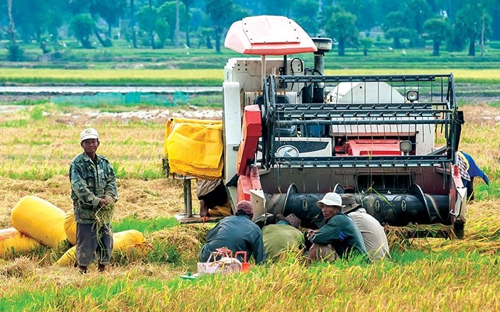 Hơn 60% dư nợ tập trung cho lĩnh vực nông nghiệp, nông thôn