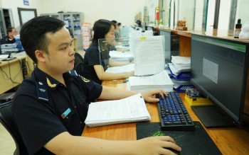 Hướng dẫn chính sách thuế đối với mặt hàng hạt giống nhập khẩu