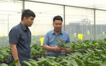 Hội Nông dân Việt Nam: Mục tiêu có thêm 5.000 doanh nghiệp nông nghiệp
