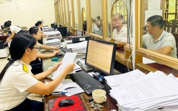 Thuế tỉnh Tuyên Quang thu nội địa 5 tháng tăng hơn 67% so với cùng kỳ