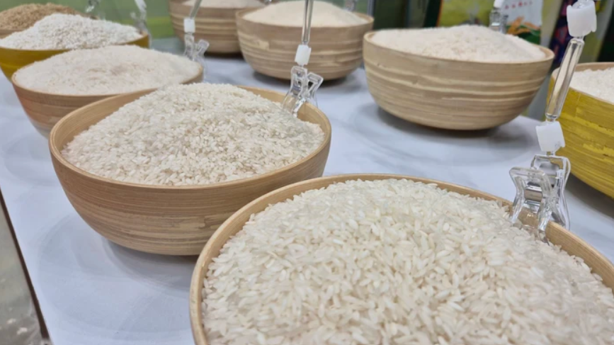 Ngày 9/6: Giá gạo Việt Nam và Thái Lan tăng lên mức cao nhất trong nhiều tháng Ngày 9/6: Giá gạo trong nước giữ nhịp ổn định