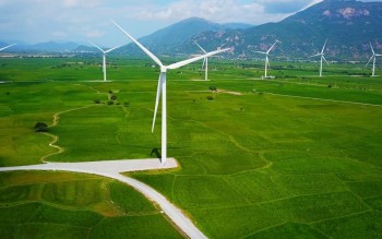Việt Nam - Vương quốc Anh hợp tác phát triển điện gió ngoài khơi