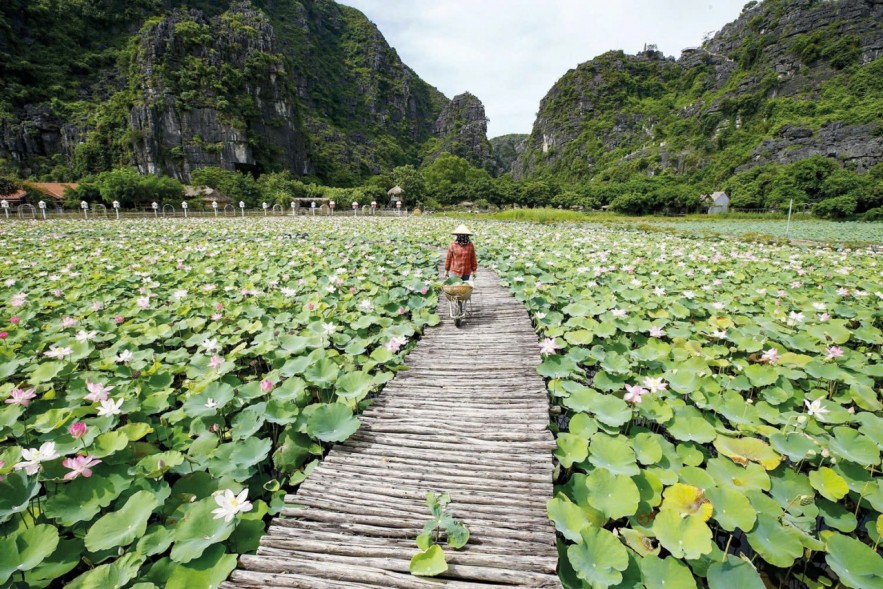 Chính sách hoàn thuế - chìa khóa “hút” đoàn phim quốc tế đến Việt Nam Chính sách hoàn thuế - chìa khóa “hút” đoàn phim quốc tế đến Việt Nam