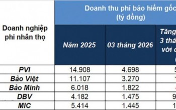 Doanh nghiệp bảo hiểm phi nhân thọ "nóng" cuộc đua cạnh tranh thị phần