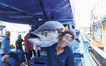 Nông sản trong nước biến động mạnh theo từng mặt hàng