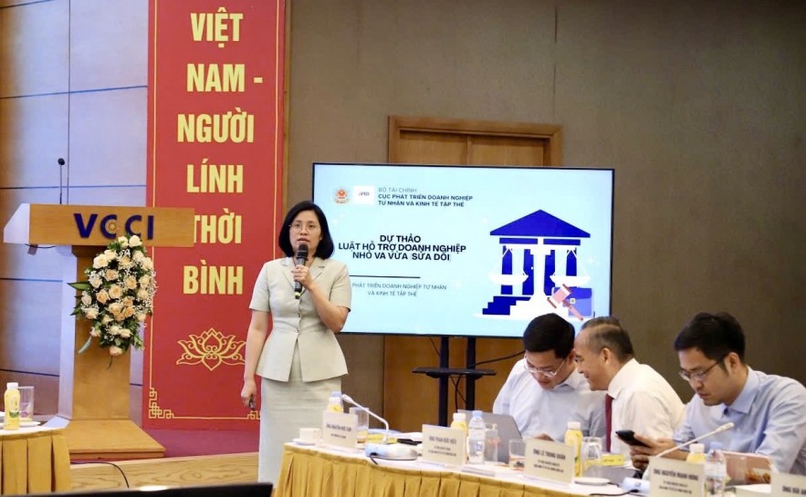Dự thảo Luật Hỗ trợ DNNVV: Mở rộng dư địa phát triển cho doanh nghiệp tư nhân